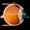 Хирургическая линза Volk Direct HR Direct 20° Prism для прямой офтальмоскопии от «ХайтекМед»
